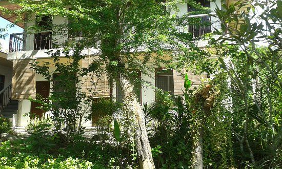 Hambilica Firefly Hatchery And Sanctuary